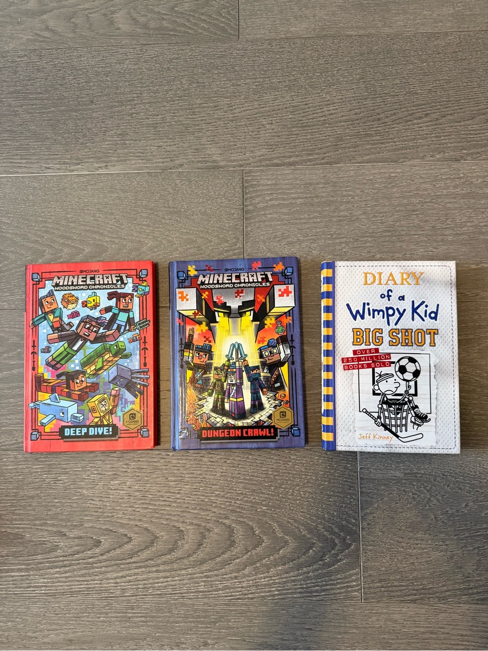 Minecraft & Diary of a Wimpy Kid Hardcover Books